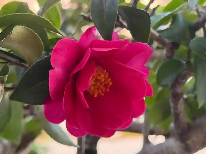 西方山極楽寺(岐阜県)