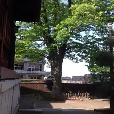 久保市乙剣宮のその他建物