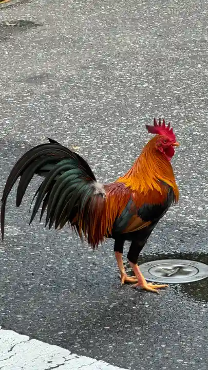 熱田神宮(愛知県)