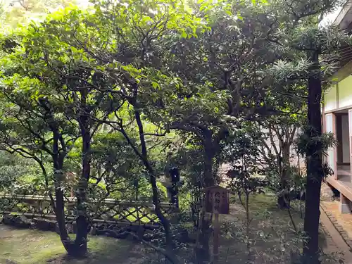 龍安寺(京都府)