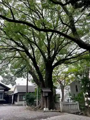 洲崎大神(神奈川県)