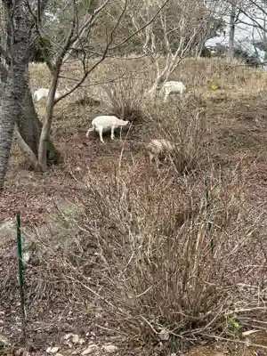 楽法寺(雨引観音)(茨城県)