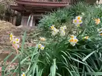 神明神社の自然