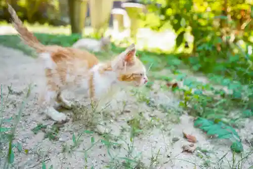 東隆寺(山口県)