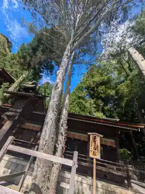 諏訪大社下社秋宮(長野県)