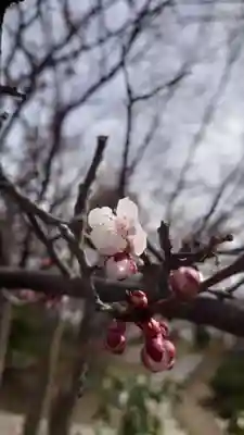 相馬神社(北海道)
