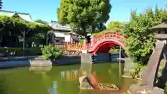 亀戸天神社の庭園