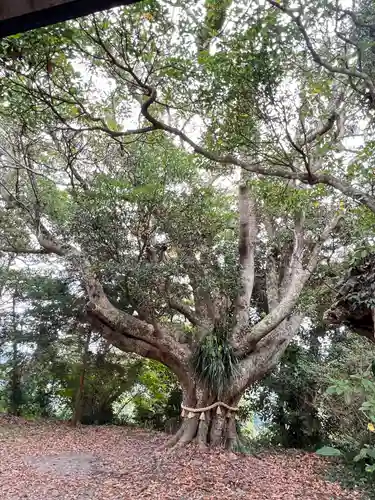 遠見岬神社(千葉県)