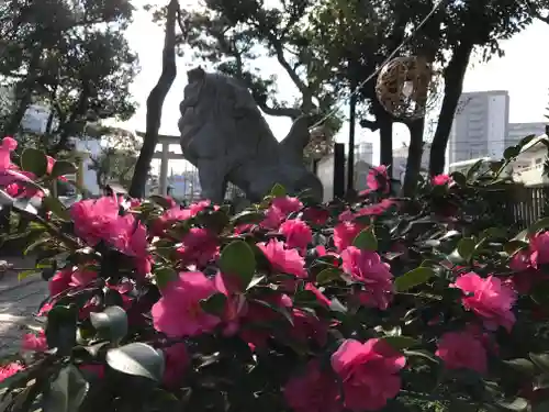 菊田神社の自然