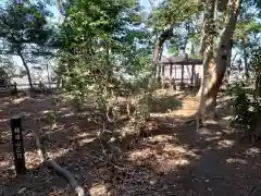 師岡熊野神社の景色