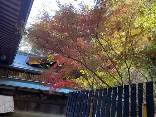 平塚八幡宮(神奈川県)