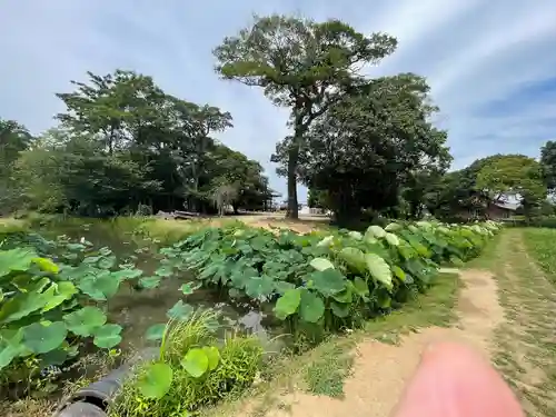 雲龍山 本證寺(愛知県)