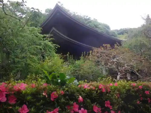 瑞泉寺の庭園