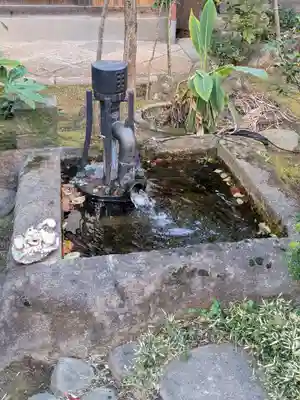 厳浄院(東京都)