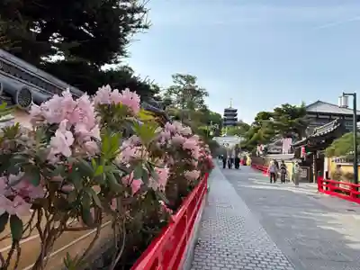 中山寺奥之院(兵庫県)