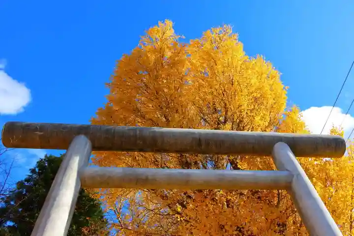 青柳神社の鳥居