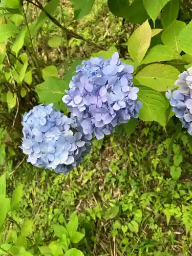 太平神社(栃木県)