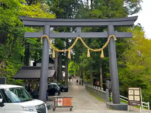 戸隠神社中社の鳥居