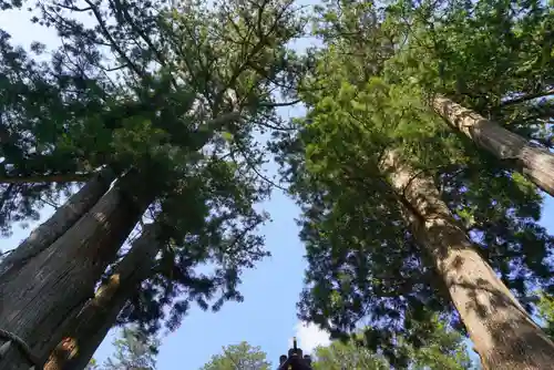 三峯神社の自然