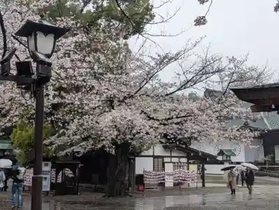 靖國神社(東京都)