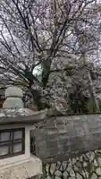 樫本神社(大原野神社境外摂社)(京都府)