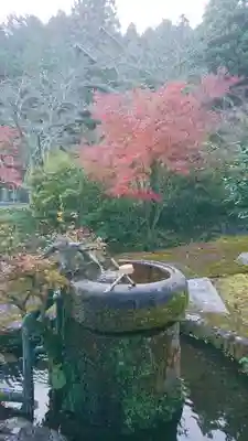 観音寺の手水舎
