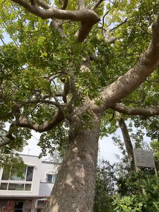 日枝神社(神奈川県)