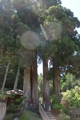 金剛三昧院(和歌山県)