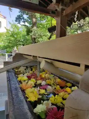 鳩森八幡神社の手水舎