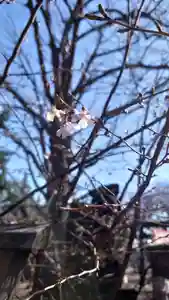 相馬神社(北海道)(2025年04月17日(木) 17時24分09秒投稿)