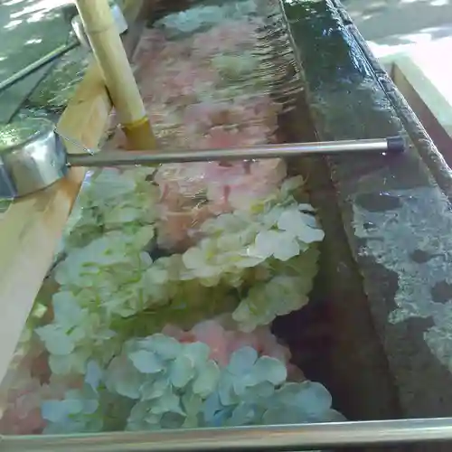 越谷香取神社の手水舎