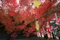 滑川神社 - 仕事と子どもの守り神の自然