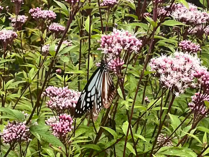忉利天上寺(兵庫県)