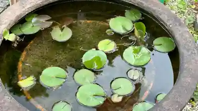 長泉院(埼玉県)