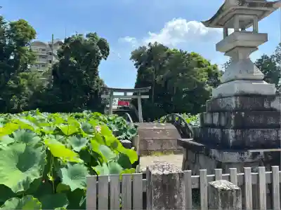 伊賀八幡宮(愛知県)