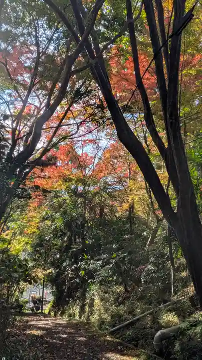 十輪寺(京都府)