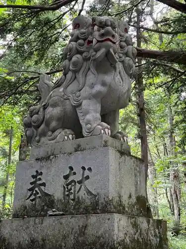 戸隠神社奥社の狛犬