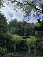 赤坂氷川神社(東京都)