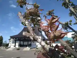 雨竜 専福寺(北海道)(2025年09月28日(日) 19時53分01秒投稿)