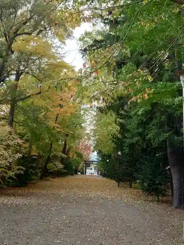 信濃神社の景色