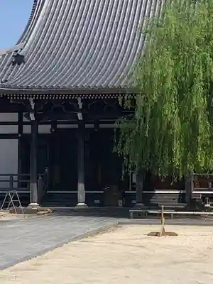 法盛寺の本殿・本堂