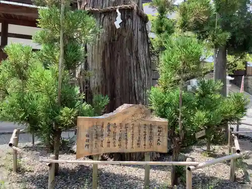 伊太祁曽神社の庭園