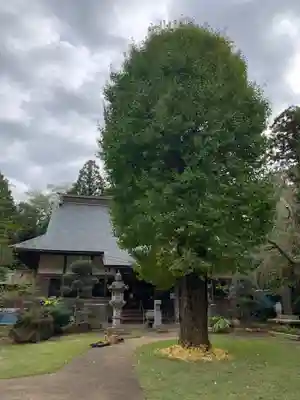 大乗寺(千葉県)