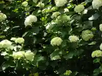 東大寺別院阿弥陀寺(山口県)