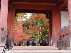 醍醐寺(京都府)