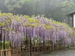 天台宗 五大山 白毫寺(兵庫県)