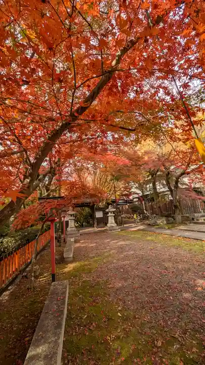 松ヶ崎大黒天 妙圓寺(妙円寺)(京都府)