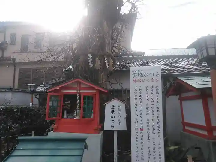 愛染堂勝鬘院の本殿・本堂