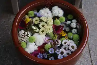 滑川神社 - 仕事と子どもの守り神の手水舎
