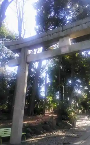 代々木八幡宮の鳥居